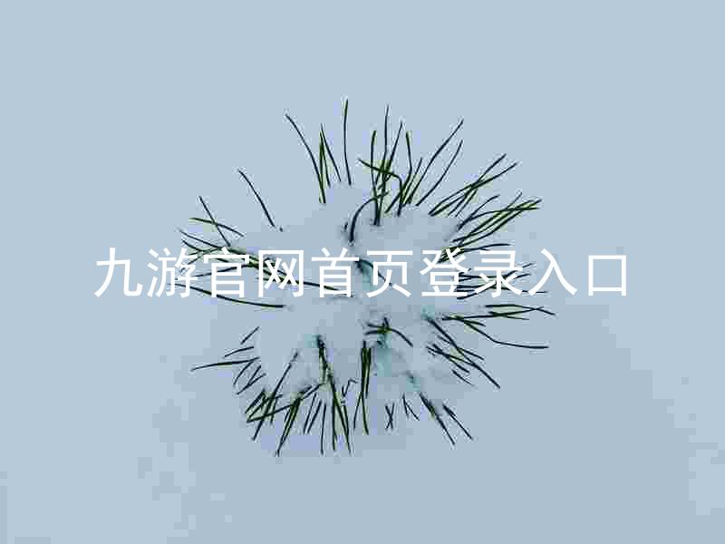九游官网首页登录入口